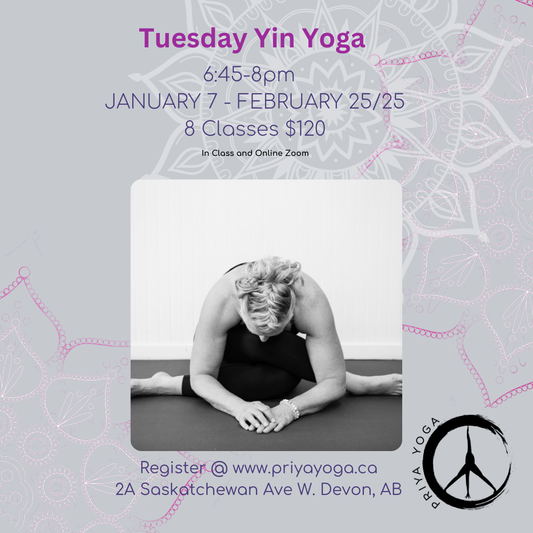 2025 Tuesday Yin 6:45-8:00pm Jan/Feb