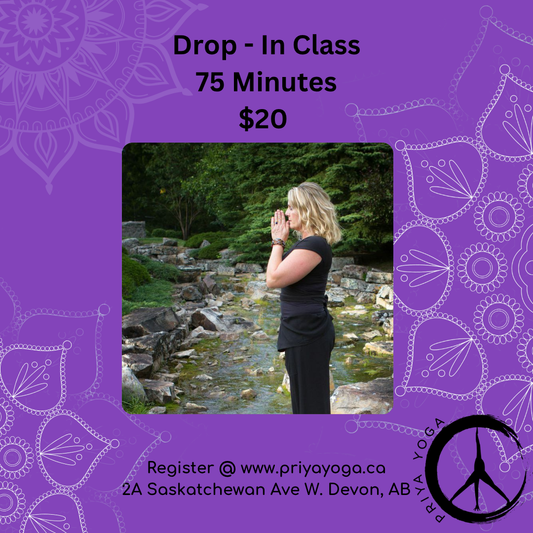 Drop-In Class