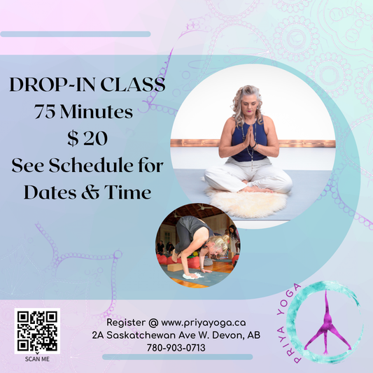 Drop-In Class