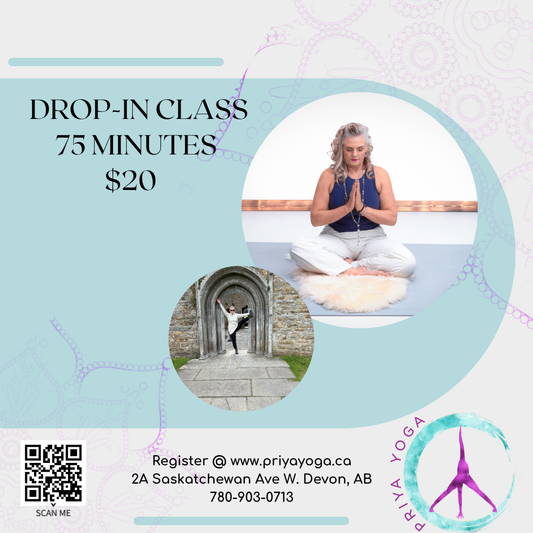 Drop-In Class